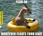 Click image for larger version

Name:	yeah-okay-whatever-floats-your-goat.jpg
Views:	1037
Size:	57.5 KB
ID:	112799