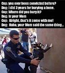 Click image for larger version

Name:	dog.jpg
Views:	338
Size:	33.2 KB
ID:	122589