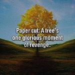 Click image for larger version

Name:	trees revenge meme.jpg
Views:	160
Size:	61.7 KB
ID:	125433