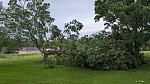 Click image for larger version

Name:	treedown.jpg
Views:	72
Size:	416.1 KB
ID:	127496