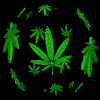 FourTwoOh's Avatar