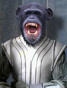 Furious George's Avatar